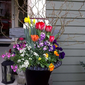 Spring pot