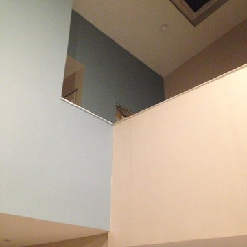 Paint Consultation Colors