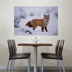 National Geographic Murals - Wall Decals