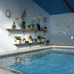 Original Endless Pools&reg; - Lifestyle And Leisure