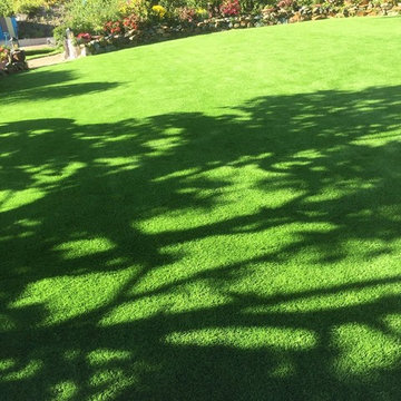 Spacious Landscaping