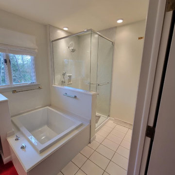 Frameless Glass Shower Gallery