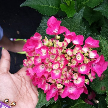 Beauty of nature