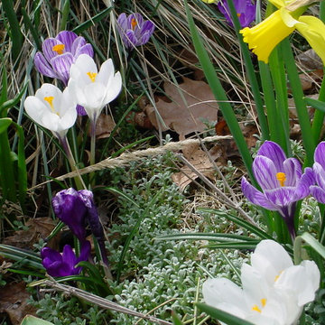 Unforgettable Bulb Display