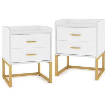 Modern 2-Drawer Nightstand for Bedrooms Set of 2