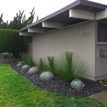 Eichler Refresh San Raphael CA