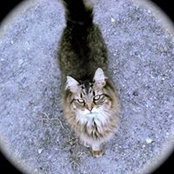 Willa Montague's photo