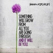 Jasmine Cameron's photo
