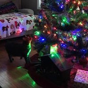 Ann Baker's photo