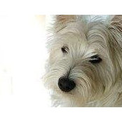 Paulette Papillon's photo