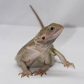 Beth Greathouse's photo
