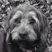 Maureen Lake's photo
