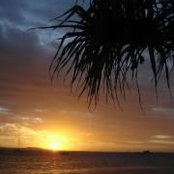 Nicholas Black's photo
