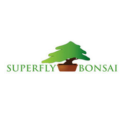 Superfly Bonsai