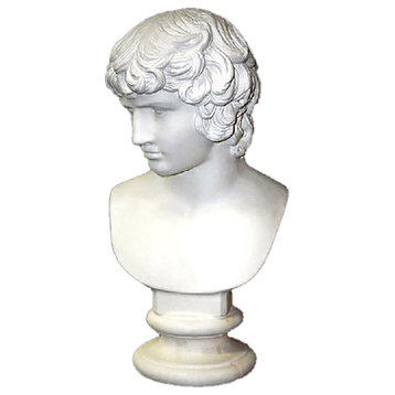 Antinous 26, From Stefano, Busts Greek & Roman