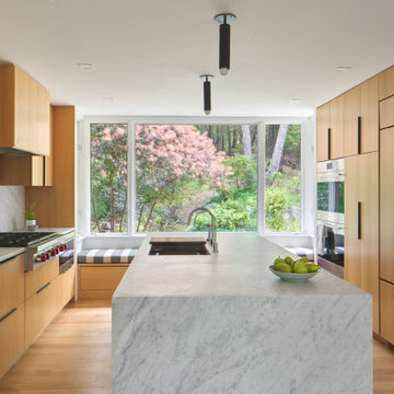 Woodland Modern Kitchen