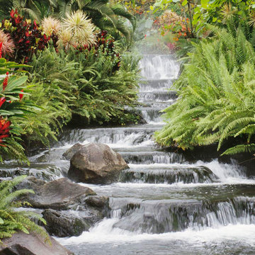 Waterscape