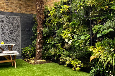 This is an example of a small modern back partial sun garden for summer in London with a living wall.