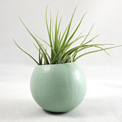 Natural Pod Tillandsia Planter in Mint - Indoor Pots And Planters