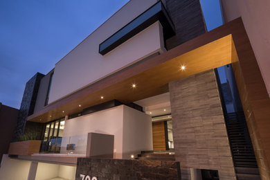 Home design - modern home design idea in Mexico City