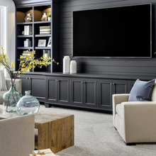 Basement Ideas MN house