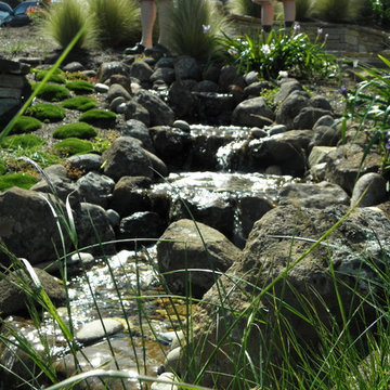 Native Oasis