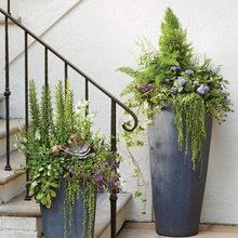 Planters for Front door