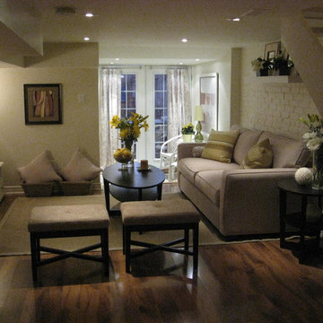 Basement Remodel