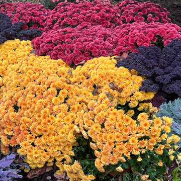 Seasonal Containers