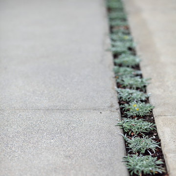 Irvine Terrace #3