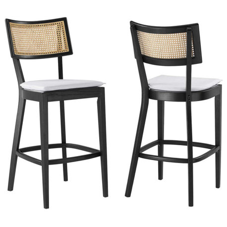 Caledonia Wood Bar Stools - Set of 2 in Black White