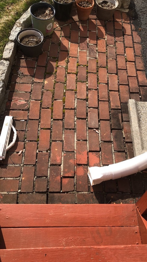 Happy steel Honorable brick paving: what to use to fill gaps