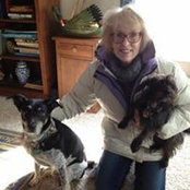 Nancy Day's photo