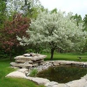 Tori Ingr's photo
