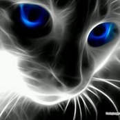 Jeff Kariuki's photo