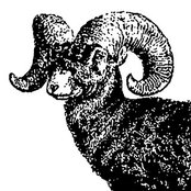 Brad's Black Sheep Co.'s photo
