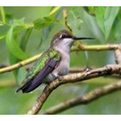 June Dunn's photo