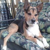 Janet Potvin's photo