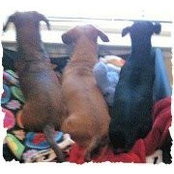 Cathy Johnson's photo