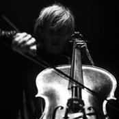Alison Chesley's photo