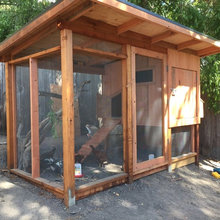 Chicken Coop