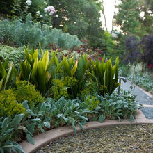 Landscape: BEDS