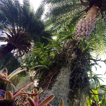 Modern Tropical Design - Coral Gables, FL