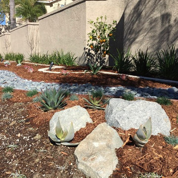 Lawn Replacement 4