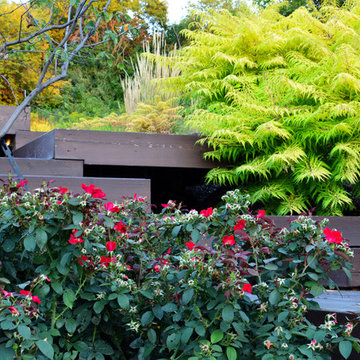 Modern Hillside Entry and Sculpture Garden