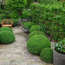 Exterior Ideas