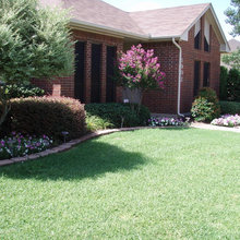 front yard