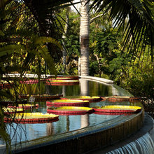 Brazilean Garden