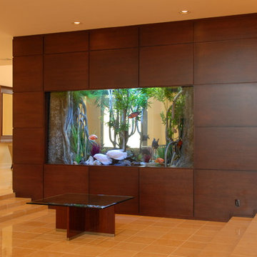 Exhibit Grade Aquarium in Residence