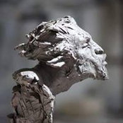 Emre Soykan's photo